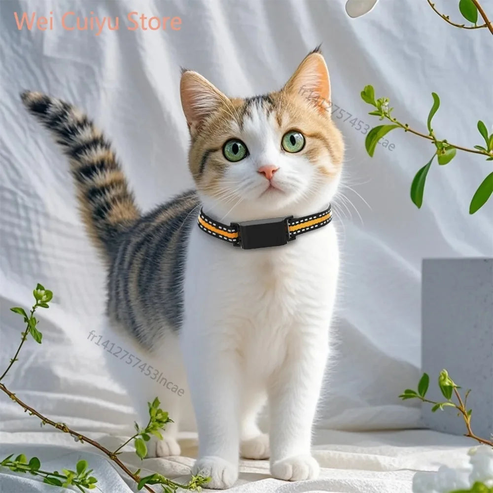 Paw Tracer
