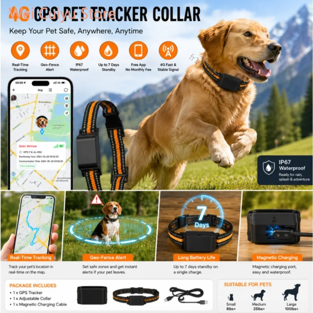Paw Tracer